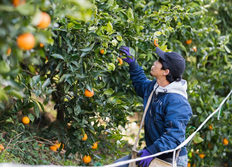 確かな目利きで美味しいをお届け