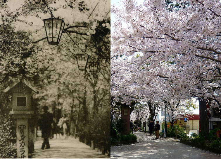 100年間農作物を愛し続ける信頼感